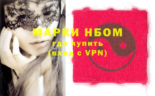 дживик Няндома