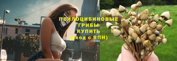 дживик Няндома