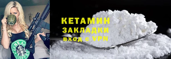 дживик Няндома