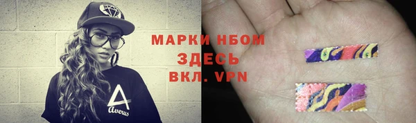 шишки Осинники