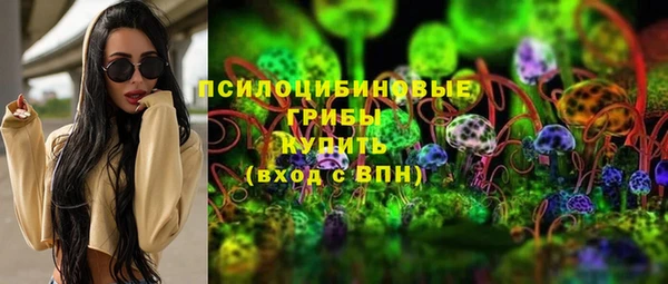 дживик Няндома