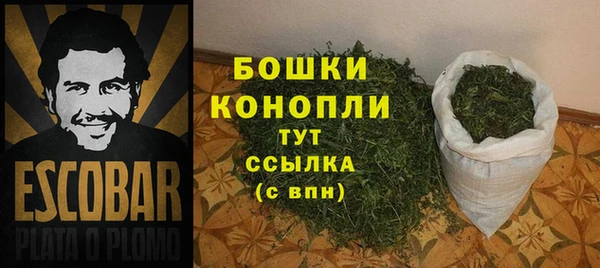 дживик Няндома