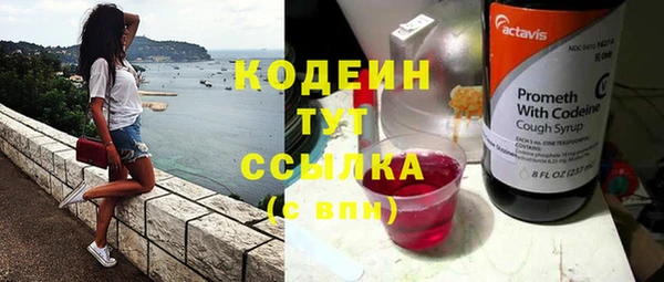 шишки Осинники
