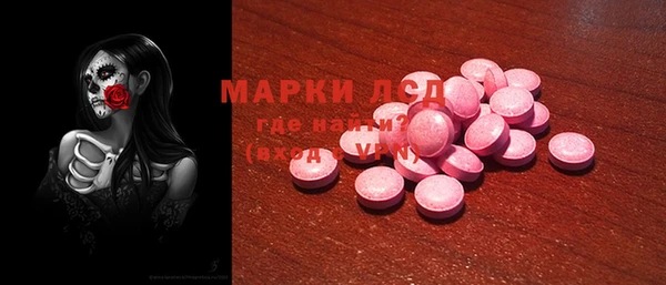 шишки Осинники