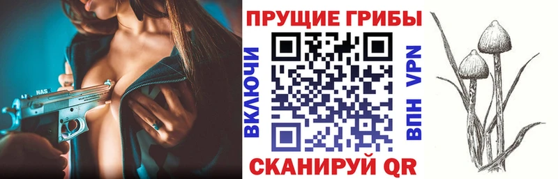 Галлюциногенные грибы Psilocybine cubensis  площадка какой сайт  Оленегорск  где можно купить наркотик 