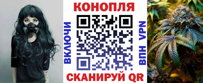 Конопля сатива  Оленегорск 